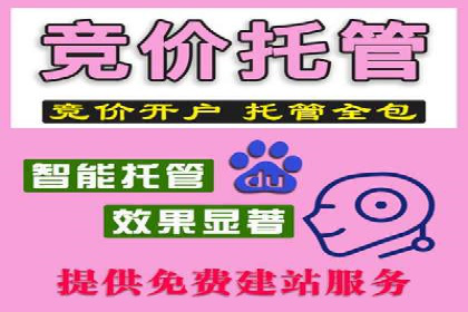 案例展示：SEM公司助力企业实现市场拓展与品牌提升